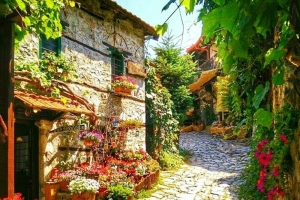 Fotoğraf Dünyası / Seçme Fotoğraflar