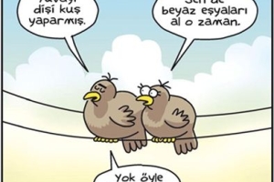 Karikatür Dünyası