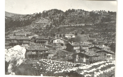 Ahmetler Aksekinin Yıldızı
