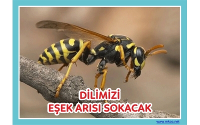 Dilimizi Eşek Arısı Sokmasın!