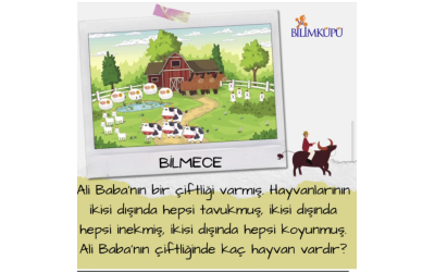 Ali Babanın Çiftliğinde Kaç Hayvan Var?