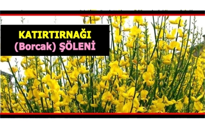 Ahmetler Serken Bağları Katırtırnağı (Borcak) Şöleni