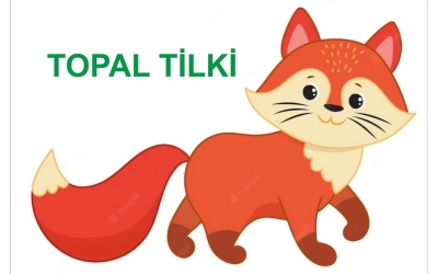 TOPAL TİLKİ