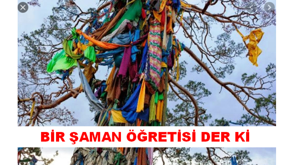 Bir Şaman Öğretisi Der ki