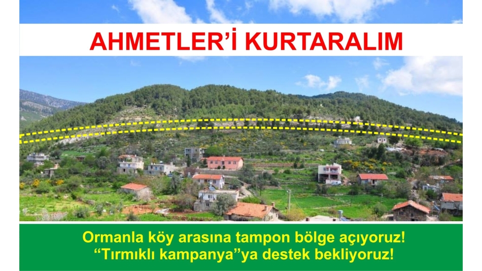 Ahmetleri Kurtaralım