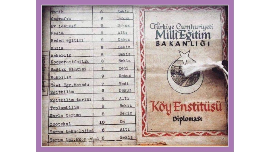 BİR DİPLOMANIN DÜŞÜNDÜRDÜKLERİ
