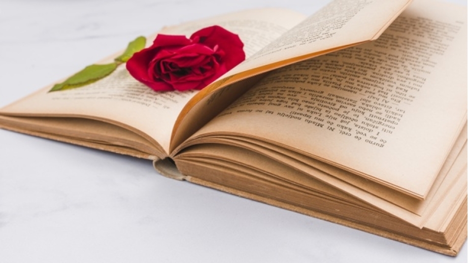 Kitap ve Kırmızı Gül