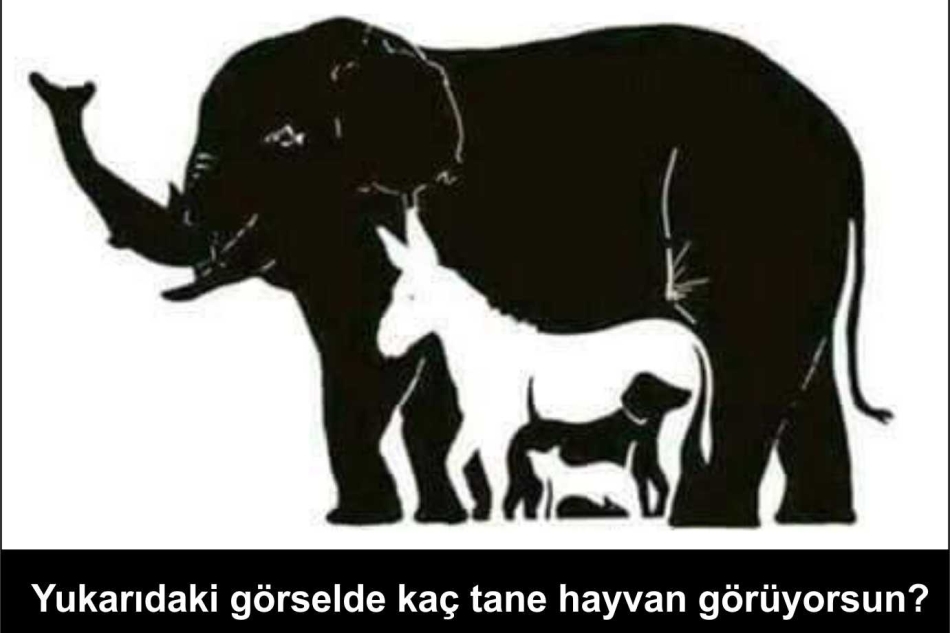 Görselde kaç hayvam görüyorsunuz?